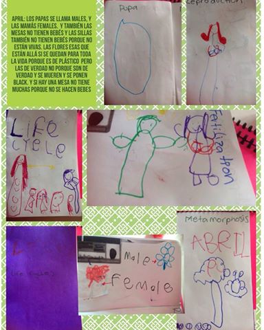 10625157_335271909973839_4809936039255373980_n