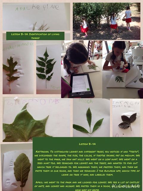 10653839_34</body></html>