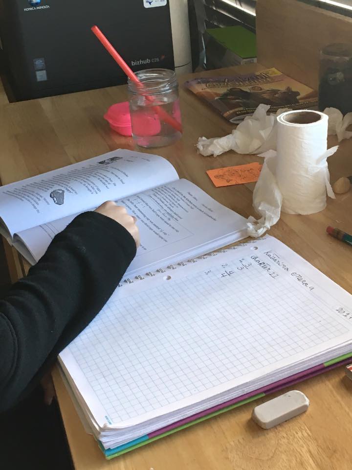 15894612_728261704008189_4998653611792175103_n