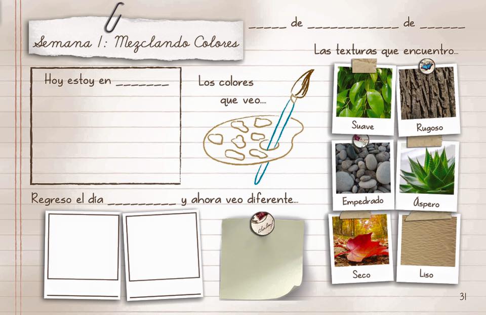 16427625_742328759268150_8939109817030463833_n